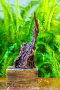 Driftwood For Moss Terrarium, Miniature, Micro Landscape, H017 -Terrarium Plant Hub IMG 7437