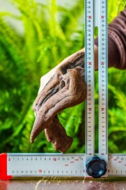 Driftwood For Moss Terrarium, Miniature, Micro Landscape, H008 -Terrarium Plant Hub IMG 7450