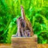 Driftwood For Moss Terrarium, Miniature, Micro Landscape, H011 -Terrarium Plant Hub IMG 7463
