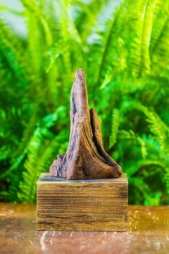 Driftwood For Moss Terrarium, Miniature, Micro Landscape, H011 -Terrarium Plant Hub IMG 7464
