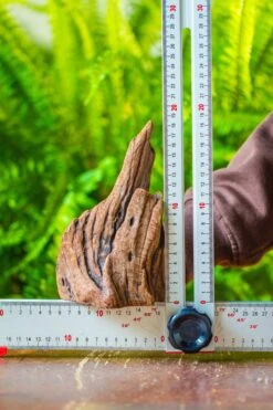 Driftwood For Moss Terrarium, Miniature, Micro Landscape, H011 -Terrarium Plant Hub IMG 7467