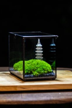 Preserved Moss Terrarium Miniature DIY Set, Japanese Zen Style, Preserved Leucobryum Moss And Pagoda, 17*10*12cm / 6.7 X 3.9 X 4.7" 40 Preserved Moss Terrarium Miniature DIY Set, Japanese Zen Style, Preserved Leucobryum Moss And Pagoda, 17*10*12cm / 6.7 X 3.9 X 4.7" -Terrarium Plant Hub IMG 7482