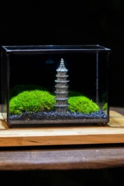 Preserved Moss Terrarium Miniature DIY Set, Japanese Zen Style, Preserved Leucobryum Moss And Pagoda, 17*10*12cm / 6.7 X 3.9 X 4.7" 41 Preserved Moss Terrarium Miniature DIY Set, Japanese Zen Style, Preserved Leucobryum Moss And Pagoda, 17*10*12cm / 6.7 X 3.9 X 4.7" -Terrarium Plant Hub IMG 7483