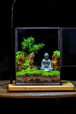 2-6" / 5-15cm Cutted Flat Bottom Natural Ohko Dragon Stone Rock For Terrarium, Aquarium Bonsai Landscape, 2kg/4.4lb, With DIY Tools -Terrarium Plant Hub IMG 7505