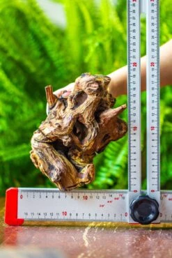 Driftwood For Moss Terrarium, Miniature, Micro Landscape, H005 -Terrarium Plant Hub IMG 7535