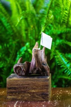 Driftwood For Moss Terrarium, Miniature, Micro Landscape, 7023 -Terrarium Plant Hub IMG 7549