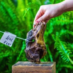 Driftwood For Moss Terrarium, Miniature, Micro Landscape, 7019