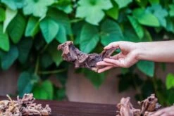 Natural Driftwood Roots Bag For Moss Terrarium Succulents Air Plants Reptile Miniature Habitat -Terrarium Plant Hub IMG 7574