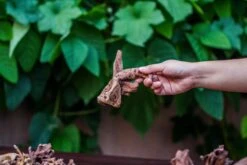 Natural Driftwood Roots Bag For Moss Terrarium Succulents Air Plants Reptile Miniature Habitat -Terrarium Plant Hub IMG 7575