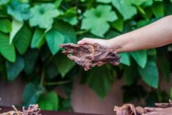 Natural Driftwood Roots Bag For Moss Terrarium Succulents Air Plants Reptile Miniature Habitat -Terrarium Plant Hub IMG 7577