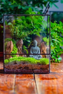 2-6" / 5-15cm Cutted Flat Bottom Natural Ohko Dragon Stone Rock For Terrarium, Aquarium Bonsai Landscape, 2kg/4.4lb, With DIY Tools -Terrarium Plant Hub IMG 7606