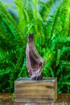 Driftwood For Moss Terrarium, Miniature, Micro Landscape, 7047 -Terrarium Plant Hub IMG 7609 009b00b7 52ad 4141 9b1a 8ea869514992