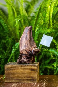 Driftwood For Moss Terrarium, Miniature, Micro Landscape, 7047 -Terrarium Plant Hub IMG 7610 13877d49 72be 4bf9 ba56 f71bbb402acb