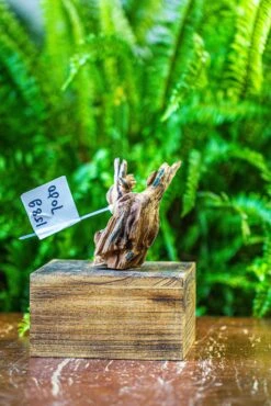 Driftwood For Moss Terrarium, Miniature, Micro Landscape, 7050 -Terrarium Plant Hub IMG 7619