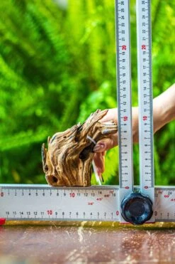 Driftwood For Moss Terrarium, Miniature, Micro Landscape, 7050 -Terrarium Plant Hub IMG 7622