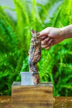 Driftwood For Moss Terrarium, Miniature, Micro Landscape, 7029 -Terrarium Plant Hub IMG 7630 eb7a9bc3 7c51 4d3f 81c1 2a8259b0a18d