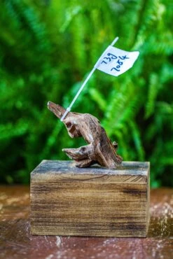 Driftwood For Moss Terrarium, Miniature, Micro Landscape, 7054 -Terrarium Plant Hub IMG 7639 ff74856b 2548 4517 ab62 a77dd04eb84a