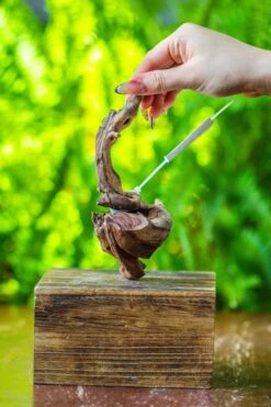 Driftwood For Moss Terrarium, Miniature, Micro Landscape, 7048 -Terrarium Plant Hub IMG 7707