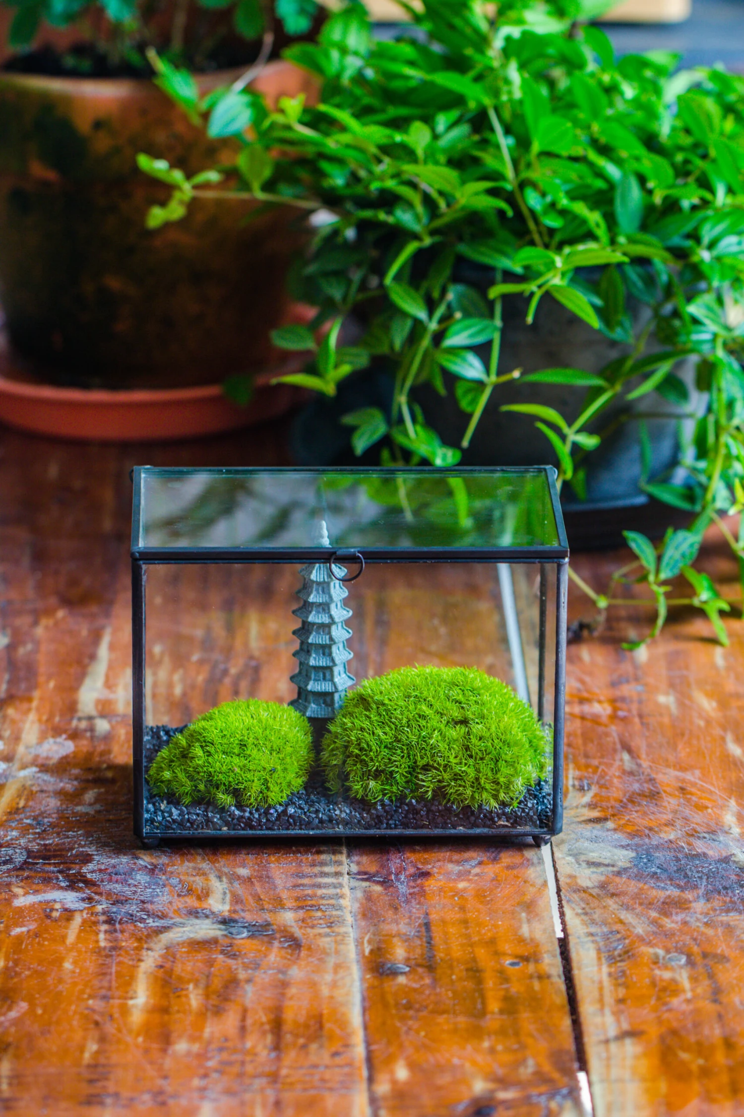 Preserved Moss Terrarium Miniature DIY Set, Japanese Zen Style, Preserved Leucobryum Moss And Pagoda, 17*10*12cm / 6.7 X 3.9 X 4.7" 5 Preserved Moss Terrarium Miniature DIY Set, Japanese Zen Style, Preserved Leucobryum Moss And Pagoda, 17*10*12cm / 6.7 X 3.9 X 4.7" - Image 3