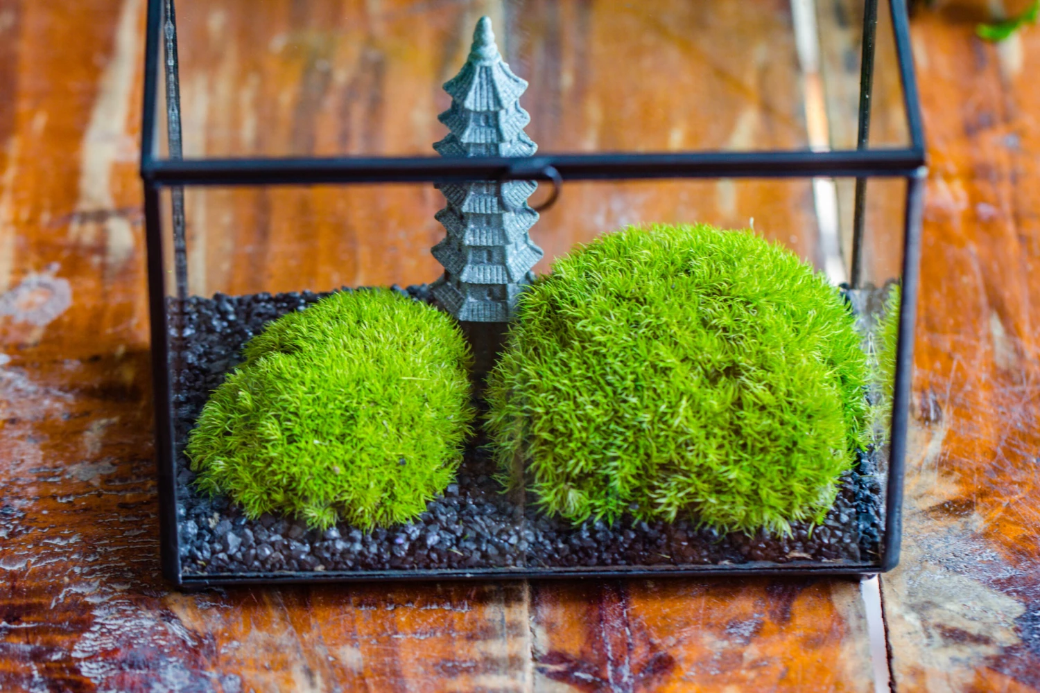 Preserved Moss Terrarium Miniature DIY Set, Japanese Zen Style, Preserved Leucobryum Moss And Pagoda, 17*10*12cm / 6.7 X 3.9 X 4.7" 6 Preserved Moss Terrarium Miniature DIY Set, Japanese Zen Style, Preserved Leucobryum Moss And Pagoda, 17*10*12cm / 6.7 X 3.9 X 4.7" - Image 4