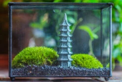 Preserved Moss Terrarium Miniature DIY Set, Japanese Zen Style, Preserved Leucobryum Moss And Pagoda, 17*10*12cm / 6.7 X 3.9 X 4.7" 27 Preserved Moss Terrarium Miniature DIY Set, Japanese Zen Style, Preserved Leucobryum Moss And Pagoda, 17*10*12cm / 6.7 X 3.9 X 4.7" -Terrarium Plant Hub IMG 7764