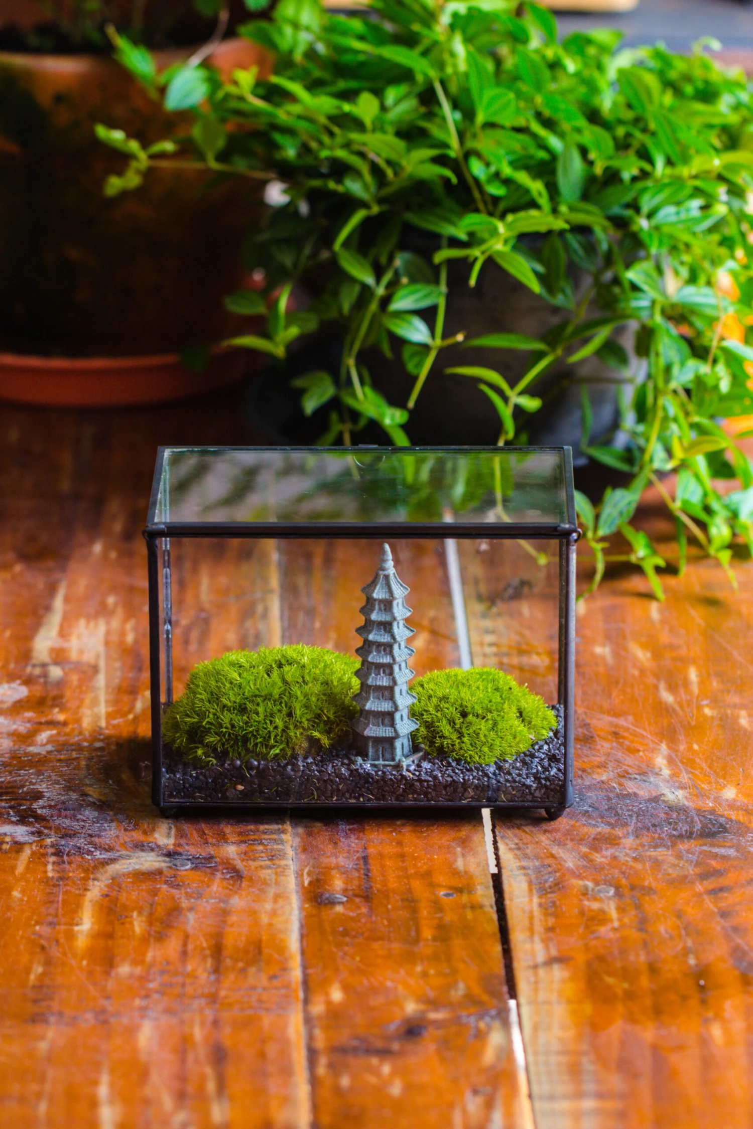 Preserved Moss Terrarium Miniature DIY Set, Japanese Zen Style, Preserved Leucobryum Moss And Pagoda, 17*10*12cm / 6.7 X 3.9 X 4.7" 10 Preserved Moss Terrarium Miniature DIY Set, Japanese Zen Style, Preserved Leucobryum Moss And Pagoda, 17*10*12cm / 6.7 X 3.9 X 4.7" - Image 8