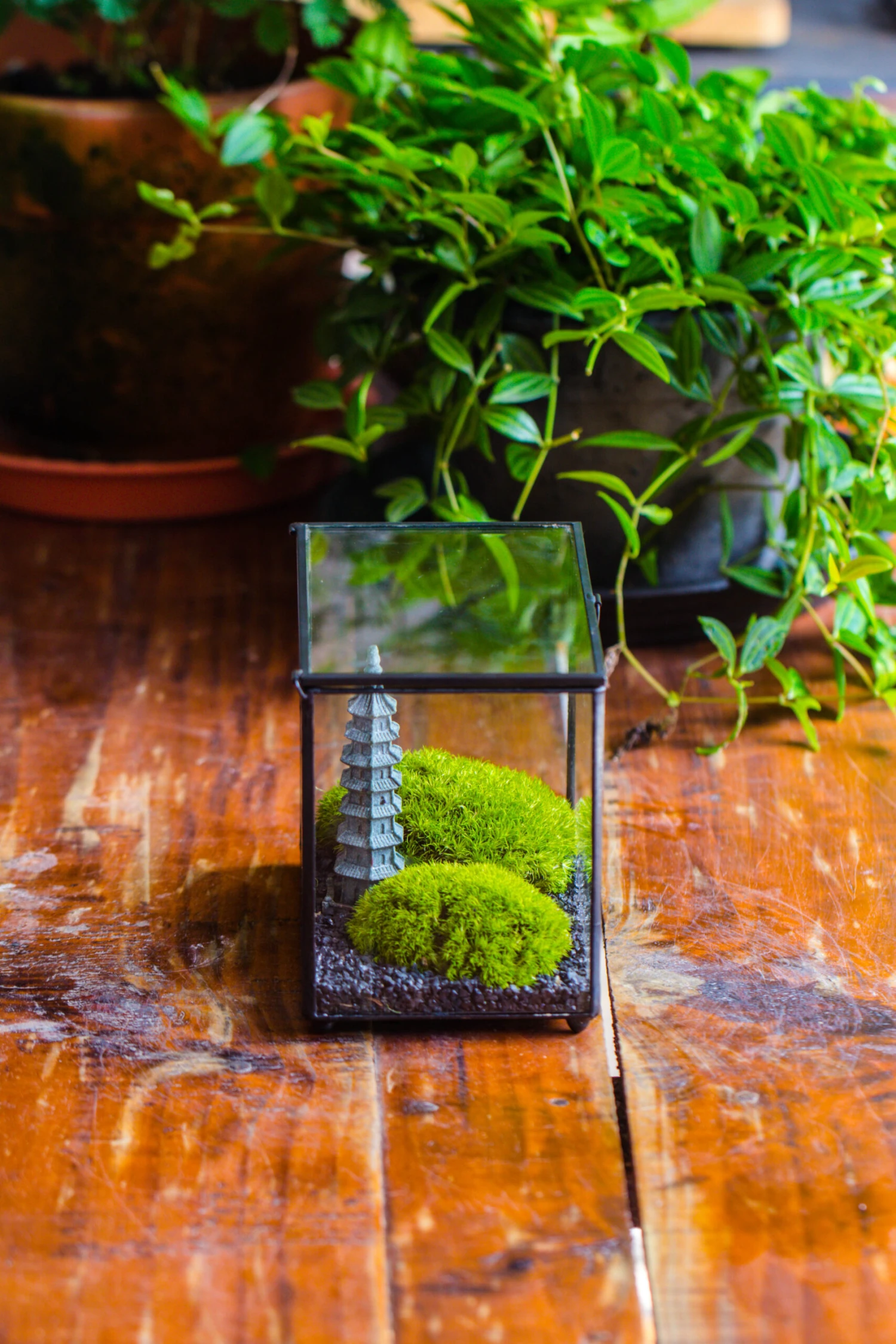 Preserved Moss Terrarium Miniature DIY Set, Japanese Zen Style, Preserved Leucobryum Moss And Pagoda, 17*10*12cm / 6.7 X 3.9 X 4.7" 11 Preserved Moss Terrarium Miniature DIY Set, Japanese Zen Style, Preserved Leucobryum Moss And Pagoda, 17*10*12cm / 6.7 X 3.9 X 4.7" - Image 9