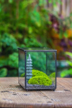 Preserved Moss Terrarium Miniature DIY Set, Japanese Zen Style, Preserved Leucobryum Moss And Pagoda, 17*10*12cm / 6.7 X 3.9 X 4.7" 33 Preserved Moss Terrarium Miniature DIY Set, Japanese Zen Style, Preserved Leucobryum Moss And Pagoda, 17*10*12cm / 6.7 X 3.9 X 4.7" -Terrarium Plant Hub IMG 7784