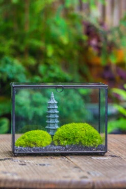 Preserved Moss Terrarium Miniature DIY Set, Japanese Zen Style, Preserved Leucobryum Moss And Pagoda, 17*10*12cm / 6.7 X 3.9 X 4.7" 37 Preserved Moss Terrarium Miniature DIY Set, Japanese Zen Style, Preserved Leucobryum Moss And Pagoda, 17*10*12cm / 6.7 X 3.9 X 4.7" -Terrarium Plant Hub IMG 7785