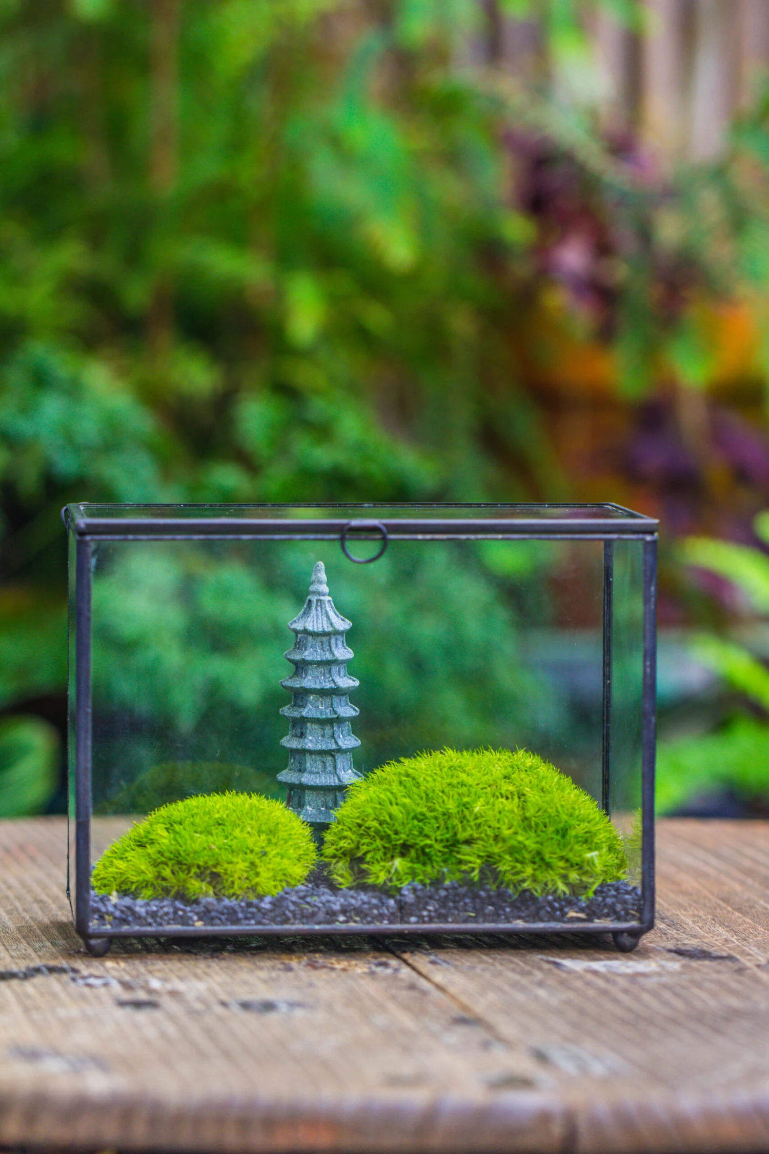 Preserved Moss Terrarium Miniature DIY Set, Japanese Zen Style, Preserved Leucobryum Moss And Pagoda, 17*10*12cm / 6.7 X 3.9 X 4.7" 18 Preserved Moss Terrarium Miniature DIY Set, Japanese Zen Style, Preserved Leucobryum Moss And Pagoda, 17*10*12cm / 6.7 X 3.9 X 4.7" - Image 16