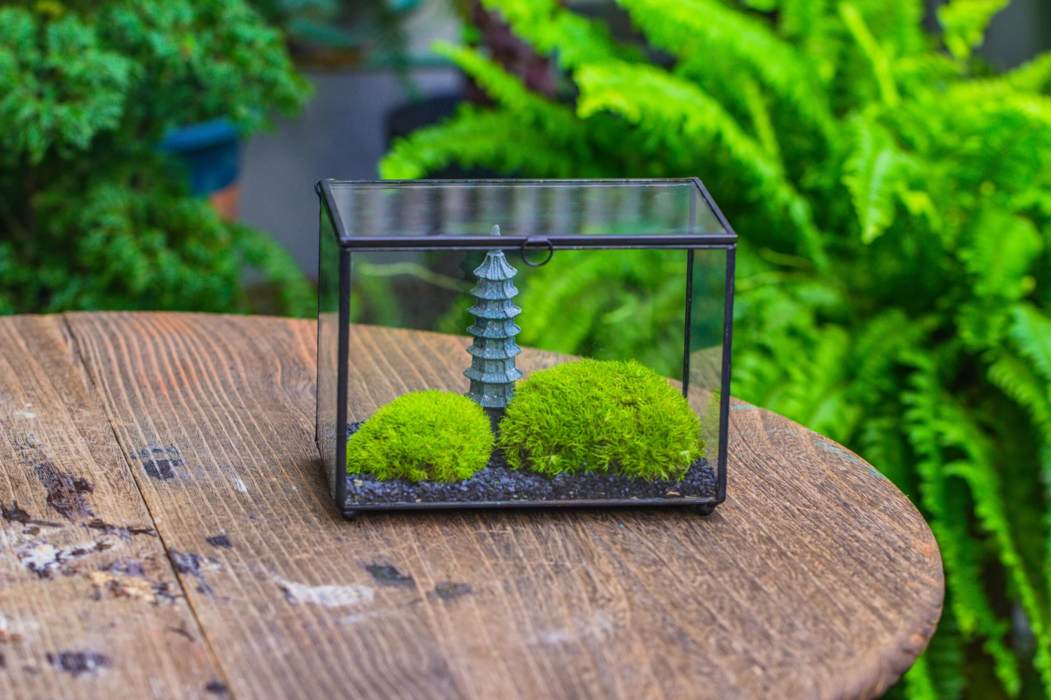 Preserved Moss Terrarium Miniature DIY Set, Japanese Zen Style, Preserved Leucobryum Moss And Pagoda, 17*10*12cm / 6.7 X 3.9 X 4.7" 15 Preserved Moss Terrarium Miniature DIY Set, Japanese Zen Style, Preserved Leucobryum Moss And Pagoda, 17*10*12cm / 6.7 X 3.9 X 4.7" - Image 13