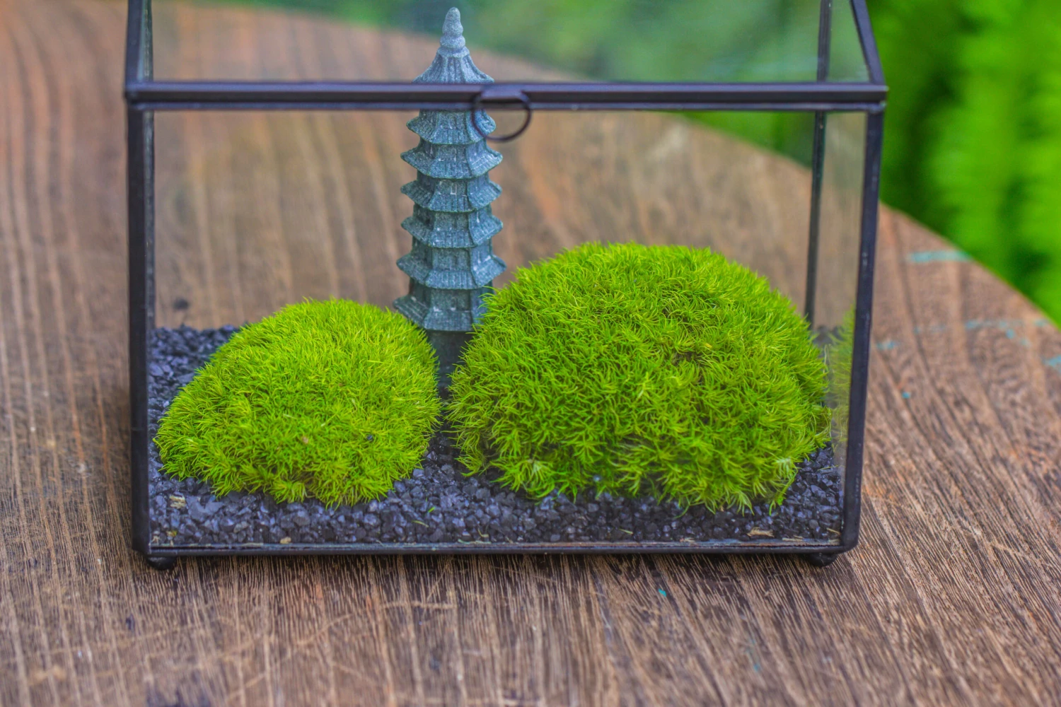 Preserved Moss Terrarium Miniature DIY Set, Japanese Zen Style, Preserved Leucobryum Moss And Pagoda, 17*10*12cm / 6.7 X 3.9 X 4.7" 16 Preserved Moss Terrarium Miniature DIY Set, Japanese Zen Style, Preserved Leucobryum Moss And Pagoda, 17*10*12cm / 6.7 X 3.9 X 4.7" - Image 14