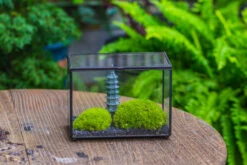 Preserved Moss Terrarium Miniature DIY Set, Japanese Zen Style, Preserved Leucobryum Moss And Pagoda, 17*10*12cm / 6.7 X 3.9 X 4.7" 36 Preserved Moss Terrarium Miniature DIY Set, Japanese Zen Style, Preserved Leucobryum Moss And Pagoda, 17*10*12cm / 6.7 X 3.9 X 4.7" -Terrarium Plant Hub IMG 7788