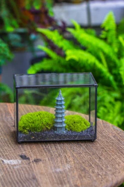 Preserved Moss Terrarium Miniature DIY Set, Japanese Zen Style, Preserved Leucobryum Moss And Pagoda, 17*10*12cm / 6.7 X 3.9 X 4.7" 38 Preserved Moss Terrarium Miniature DIY Set, Japanese Zen Style, Preserved Leucobryum Moss And Pagoda, 17*10*12cm / 6.7 X 3.9 X 4.7" -Terrarium Plant Hub IMG 7790
