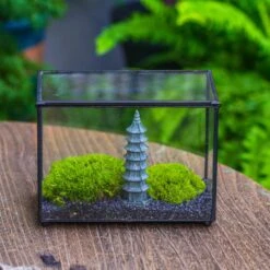 Preserved Moss Terrarium Miniature DIY Set, Japanese Zen Style, Preserved Leucobryum Moss And Pagoda, 17*10*12cm / 6.7 X 3.9 X 4.7" 23 Preserved Moss Terrarium Miniature DIY Set, Japanese Zen Style, Preserved Leucobryum Moss And Pagoda, 17*10*12cm / 6.7 X 3.9 X 4.7" -Terrarium Plant Hub IMG 7792