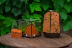 Rain Forest Sticky Red Clay For DIY Moss Wall, Plant Moss / Plants On The Wall, Vertical Landscape, Vivarium, Terrarium -Terrarium Plant Hub IMG 7903