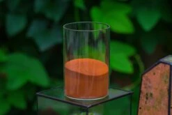 Rain Forest Sticky Red Clay For DIY Moss Wall, Plant Moss / Plants On The Wall, Vertical Landscape, Vivarium, Terrarium -Terrarium Plant Hub IMG 7904