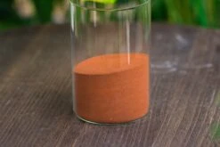 Rain Forest Sticky Red Clay For DIY Moss Wall, Plant Moss / Plants On The Wall, Vertical Landscape, Vivarium, Terrarium -Terrarium Plant Hub IMG 7926