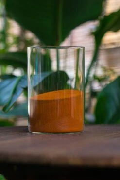 Rain Forest Sticky Red Clay For DIY Moss Wall, Plant Moss / Plants On The Wall, Vertical Landscape, Vivarium, Terrarium -Terrarium Plant Hub IMG 7929