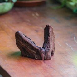 Natural Driftwood For Moss Terrarium, Miniature, Micro Landscape, Unique 10-2, Suitable For Both Live And Preserved Moss -Terrarium Plant Hub IMG 7948