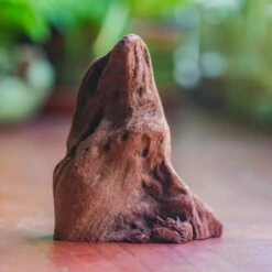 Natural Driftwood For Moss Terrarium, Miniature, Micro Landscape, Unique 10-27, Suitable For Both Live And Preserved Moss -Terrarium Plant Hub IMG 7975