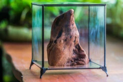 Natural Driftwood For Moss Terrarium, Miniature, Micro Landscape, Unique 10-27, Suitable For Both Live And Preserved Moss -Terrarium Plant Hub IMG 7978