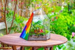 Rainbow Stained Glass Irregular Geometric Ice Peak Shape Terrarium, Close -Terrarium Plant Hub IMG 7983 b58d69cf 988f 49ab 9e9f 2f21bb3b40cf