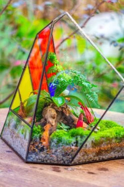 Rainbow Stained Glass Irregular Geometric Ice Peak Shape Terrarium, Close -Terrarium Plant Hub IMG 7985