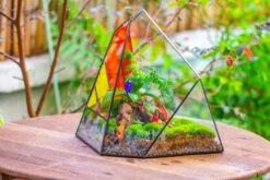 Rainbow Stained Glass Irregular Geometric Ice Peak Shape Terrarium, Close -Terrarium Plant Hub IMG 7986