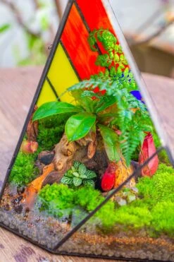 Rainbow Stained Glass Irregular Geometric Ice Peak Shape Terrarium, Close -Terrarium Plant Hub IMG 7987