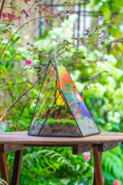 Rainbow Stained Glass Irregular Geometric Ice Peak Shape Terrarium, Close -Terrarium Plant Hub IMG 7993