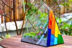 Rainbow Stained Glass Irregular Geometric Ice Peak Shape Terrarium, Close -Terrarium Plant Hub IMG 8003