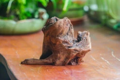 Natural Driftwood For Moss Terrarium, Miniature, Micro Landscape, Unique 10-11, Suitable For Both Live And Preserved Moss -Terrarium Plant Hub IMG 8013