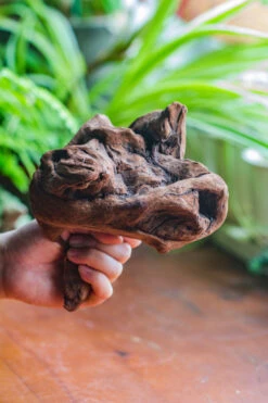 Natural Driftwood For Moss Terrarium, Miniature, Micro Landscape, Unique 10-11, Suitable For Both Live And Preserved Moss -Terrarium Plant Hub IMG 8016